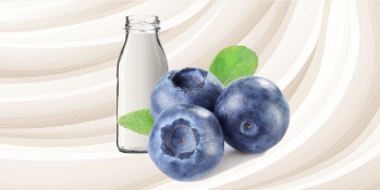 Heidelbeere-Sauerrahm