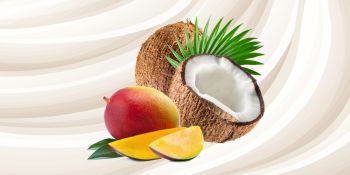 Mango - Kokos